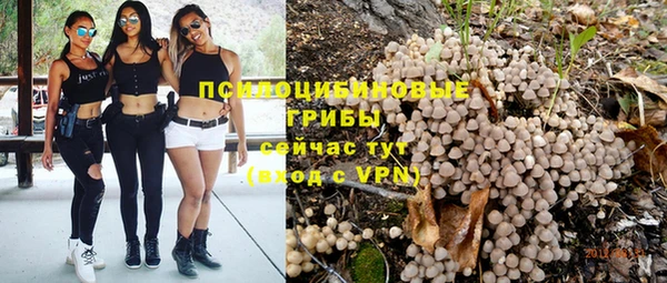 гидропоника Баксан