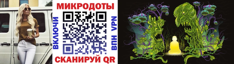 Псилоцибиновые грибы Cubensis Лаишево
